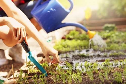 A close-up view of a gardening scene in a backyard garden, featuring a person's hand planting seedlings into the prepared soil bed. The soil appears dark and moist, with small, evenly spaced rows of young green plants emerging. In the background, a blue watering can is partially visible, pouring water over the plants, indicating ongoing watering. The garden bed is bordered by wooden edging, and there are other garden elements such as small markers or plant labels. The environment is illuminated by natural sunlight, suggesting a bright, clear day. The scene highlights outdoor gardening activities typical of lawn and garden maintenance services in the Chislehurst area, contributing to a healthy, well-maintained garden space.