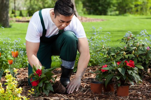 A gardener with short dark hair, wearing a white T-shirt and dark green overalls, is kneeling on a garden bed covered with mulch in a lush outdoor space. They are tending to a flowering plant with bright red blooms, surrounded by other small potted plants and flowering shrubs. The garden features a well-maintained grassy lawn in the background, bordered by mature trees and a wooden fence, creating a neat and organized landscaped area. This scene is set on a clear, sunny day with natural daylight illuminating the vibrant greenery and colorful flowers, typical of a residential garden in Chislehurst, Kent. The gardener appears focused on planting or pruning, demonstrating careful outdoor maintenance aligned with professional garden and lawn care services offered by Lawn Mowing Chislehurst.