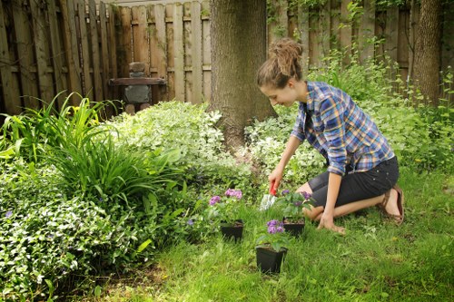 A young woman with curly brown hair, dressed in a blue plaid shirt and dark jeans, is kneeling on a well-maintained lawn in a garden, planting or tending to small flowering plants in black pots. The garden features a lush green grassy area, various shrubbery, and herbaceous plants with different shades of green foliage. In the background, a wooden fence surrounds the space, with mature trees providing dappled shade. Mulch and soil are visible around some plants, and a garden ornament or outdoor kitchen structure can be seen behind the fence. The scene suggests a tidy, landscaped backyard or front garden typical of residential properties in Chislehurst, with natural light indicating a clear, sunny day, supporting outdoor gardening activities typically offered by local gardening services such as Lawn Mowing Chislehurst.