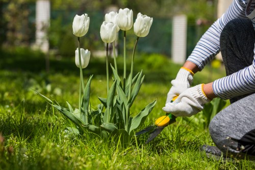 Autumn lawn maintenance in Chislehurst