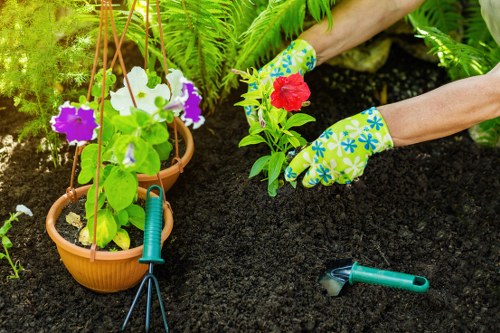 Healthy green lawn maintained by experts in Chislehurst